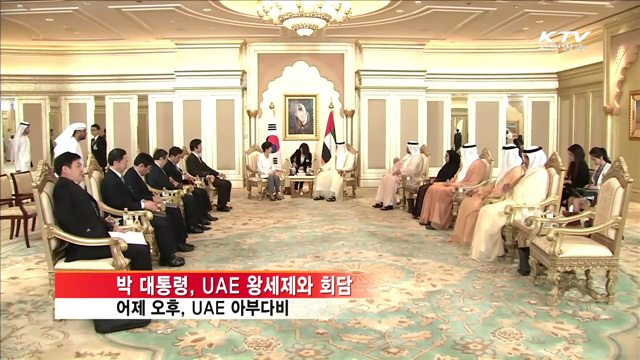 박 대통령, UAE 왕세제와 회담…경제협력 다각화