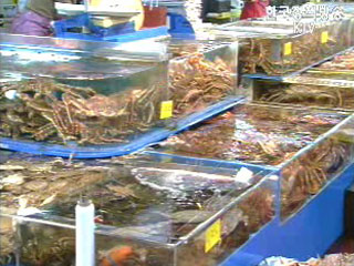 ‘대게’총허용어획량 소진율 공표