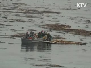 구조대 본격 활동···119 구조대 추가 파견