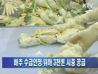 배추 수급안정 위해 3천톤 시중 공급