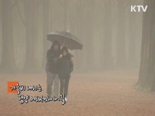 '꿈의 드라이브 코스'