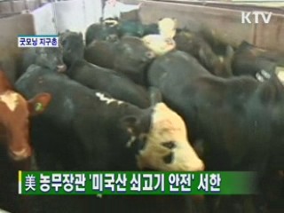 굿모닝 지구촌