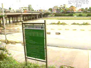 이 시각 기상특보 발효현황