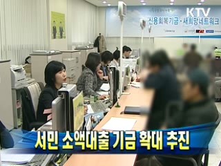 서민 소액대출 기금 확대 추진