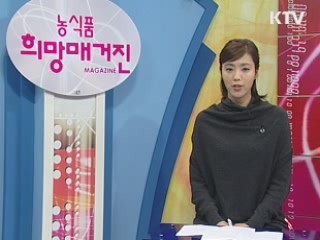 햅쌀막걸리 본격 출시