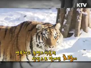 2010 경인년 '호랑이 영상'