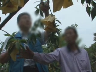 학원비 편법 인상 금지…"교습비 공개해야"