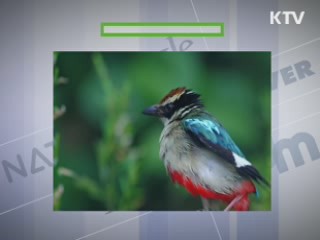 클릭-e 뉴스
