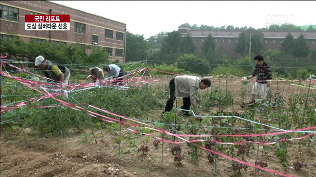 고령화 사회…도심 실버타운 늘어난다 [국민리포트]