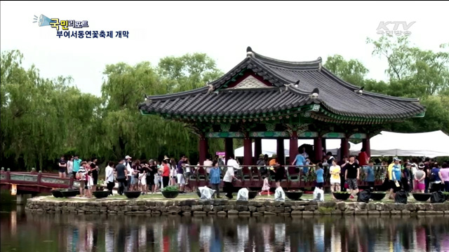 천만송이 연꽃의 향연…서동연꽃축제