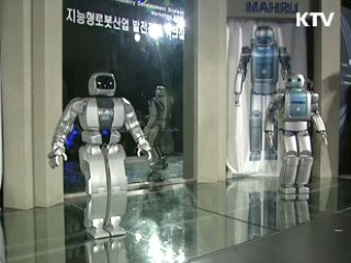 세계 로봇 성능, 한국표준으로 평가