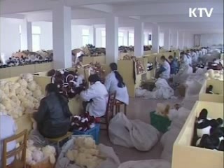 APEC 중소기업 혁신컨설팅 실시