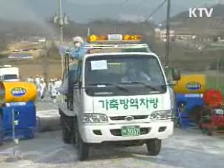 해당농가 살처분 완료···위기경보 '주의'
