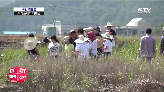 '바다의 날' 맞아 바다쓰레기 대청소