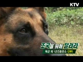 조국을 위해 달려라 - 육군 제 1군견 훈련소 2부