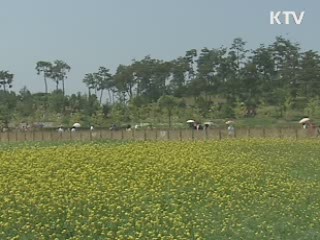 쓰레기로 89만가구 사용 에너지 생산