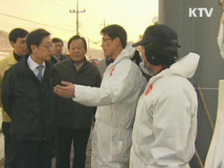 백신접종 본격화···구제역 이번 주 고비