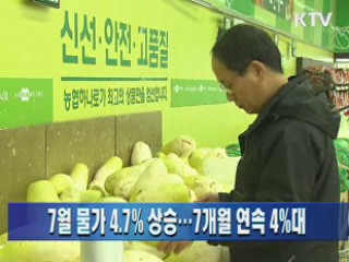 7월 물가 4.7% 상승···7개월 연속 4%대