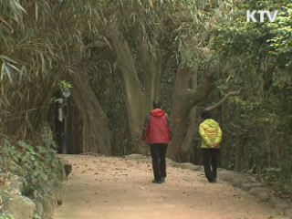 여름 휴가철 국내여행 확대 추진