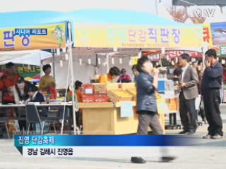 진영 단감축제, "단감 풍년, 축제도 풍성" [시니어 리포트]