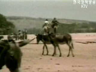 수단, `여행제한지역`으로 지정