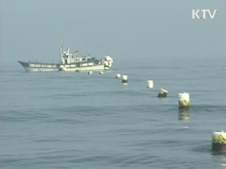 울산 앞바다서 어선 침몰…11명 사망·실종