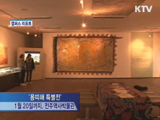 전주역사박물관 '용띠해 특별전' 성황