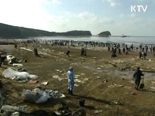 태안, 새 희망을 품다 [현장포커스]