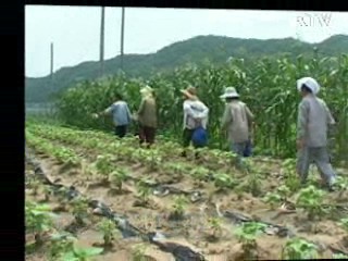 '농지연금' 내년 1월부터 시행