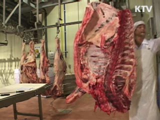 구제역 안심해도 됩니다