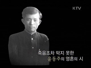 하늘과 바람과 별과 시 - 윤동주와 정병욱