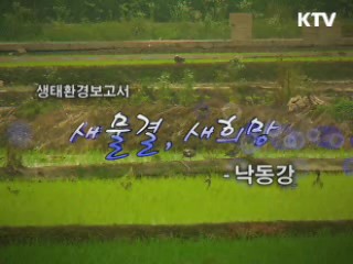 생태환경보고서 "새물결, 새희망" - 낙동강