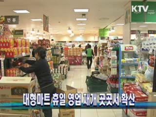 대형마트 휴일 영업 재개 곳곳서 확산