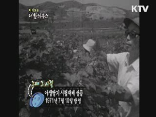 다시보는 대한늬우스+ (71.07.10)