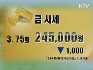 증시정리 환율 금시세 