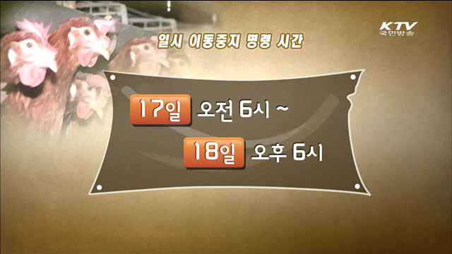 내일 오후 6시까지 '일시 이동중지'…AI 차단