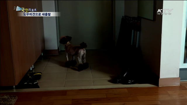 유기견이 도우미견으로 거듭나다