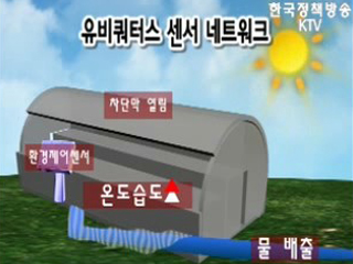 IT로 포도 키운다