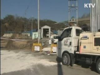 정부, 구제역 백신접종 여부 신중 검토