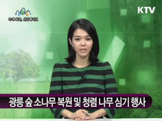 광릉 숲 소나무 복원 및 청령 나무 심기 행사