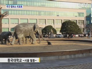 등록금 내린 만큼 수익사업 적극 유치