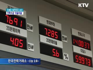 절전 동참으로 '관심' 단계 발령 피해