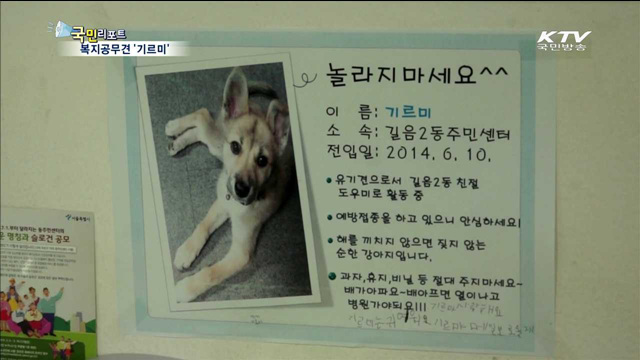 웃음 주는 복지공무견 '기르미'