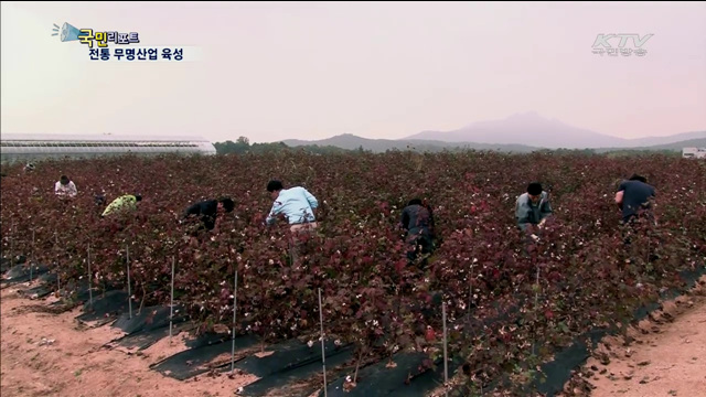 양주 무명산업 육성…노인일자리 만든다