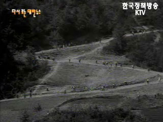 농로확장(`70)