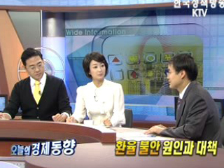 환율 불안 원인과 대책