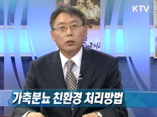 가축분뇨, 포플러로 정화한다