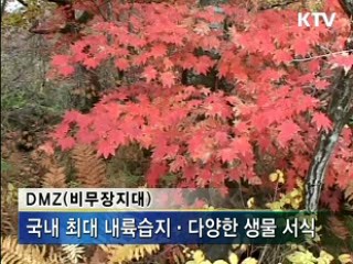 '한국적' 관광상품 적극 개발