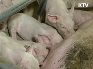 경쟁력 향상, 직불금 지원 등 병행