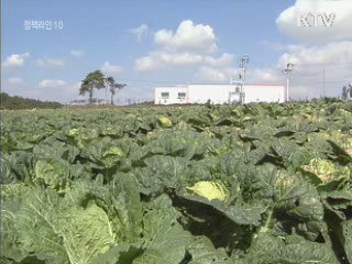 "채소값 급등, 4대강 사업과 무관"